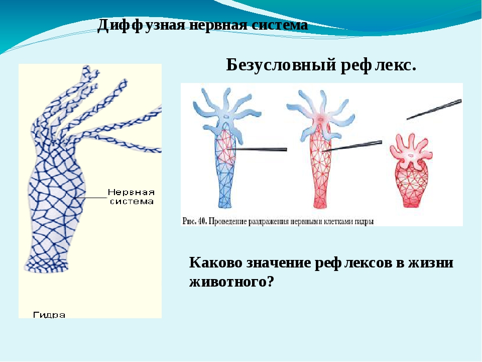 Ссылка на омгомг omgomgomg5j4